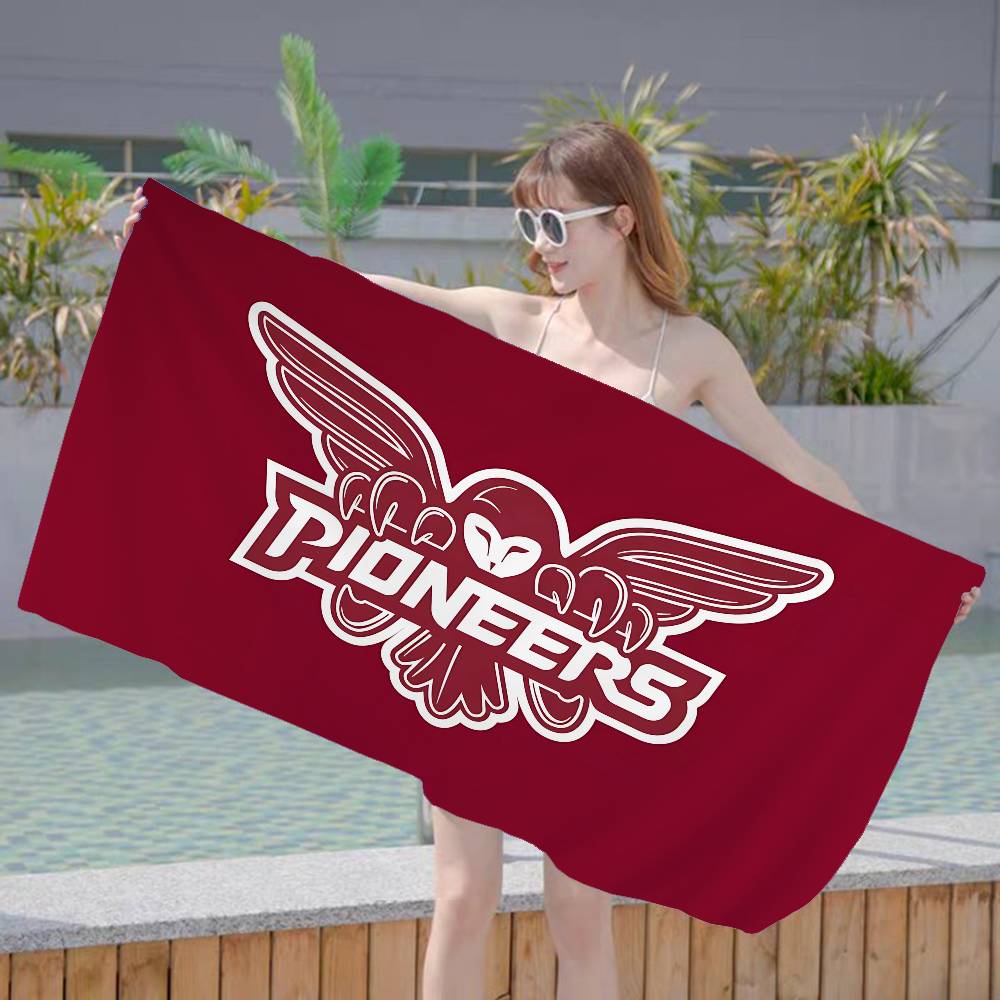 Logo marki audio P-Pioneer Muz – Audio Music Logo recenzja i cena