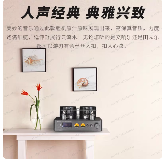 Wzmacniacz lampowy Hi-Fi bezpr – Audio Music In Youtube recenzja i cena